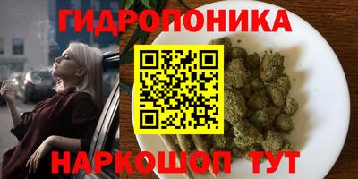 мяу мяу мука Апшеронск