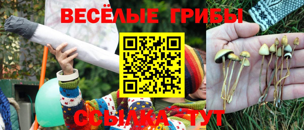 Галлюциногенные грибы мицелий  Бугульма  как найти   Галлюциногенные грибы Magic Shrooms 