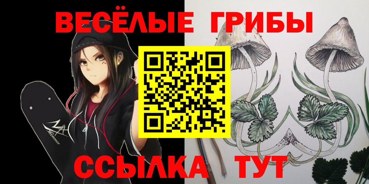 Галлюциногенные грибы GOLDEN TEACHER Бугульма