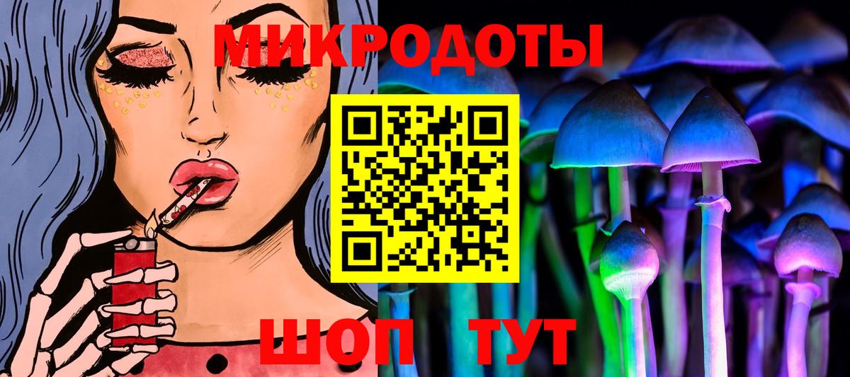 Псилоцибиновые грибы Psilocybe Бугульма