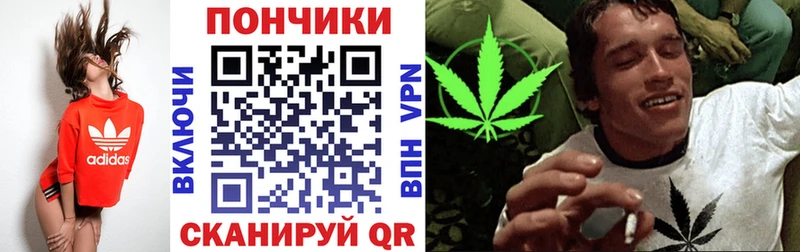 Бошки Шишки семена наркота Бугульма